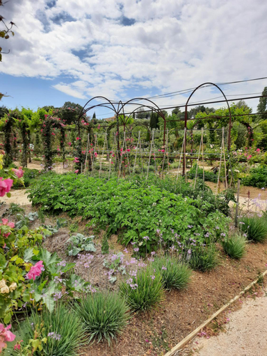 Others 4, La Bastide des Saveurs, Var