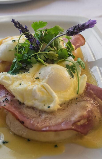 Food & Drinks 5, Boulders Beach Hotel, Cafe and Curio, City of Cape Town
