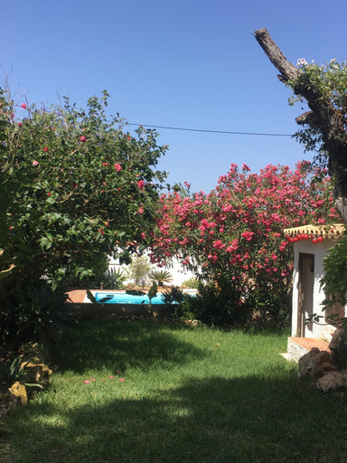 Others 4, Lugar das Andorinhas, Albufeira