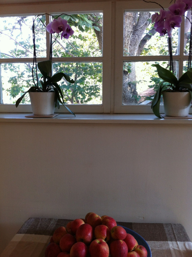 Food & Drinks, Varmdovagen B&B Cottage, Nacka