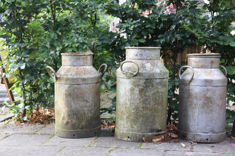 Others 3, Herberg de Roskam, Westerveld