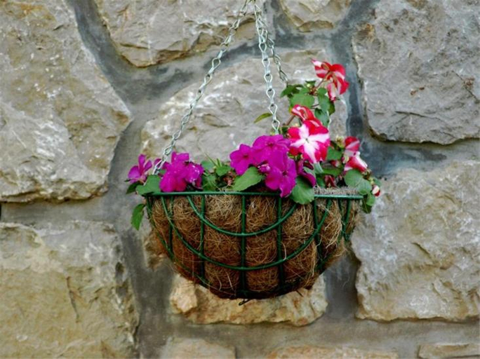 Others 3, Apartments Cvita - Garden Hideaway, Mali Lošinj