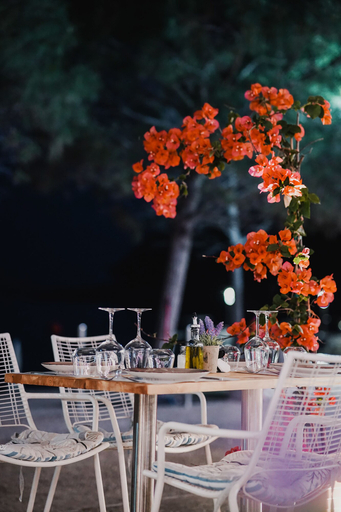 Food & Drinks