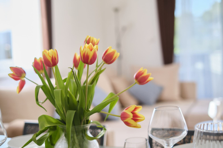 Food & Drinks, Ray Apartment Čiovo by Litto, Okrug