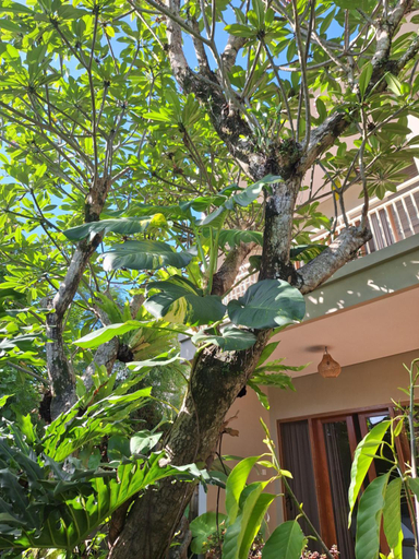 Others 4, Kasapa Inn, Gianyar