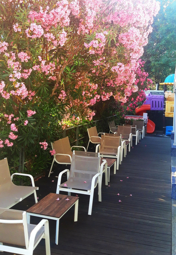 Food & Drinks 5, Hotel Felix, Rimini
