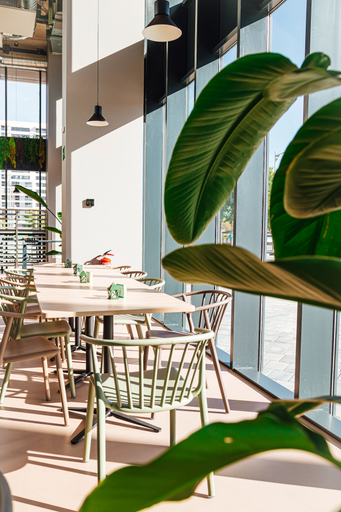 Food & Drinks 5, Atenea Living, Barcelona