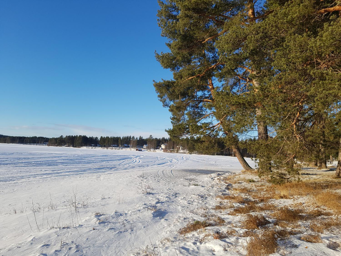Others 2, Furudals Vandrarhem och Sjocamping, Rättvik