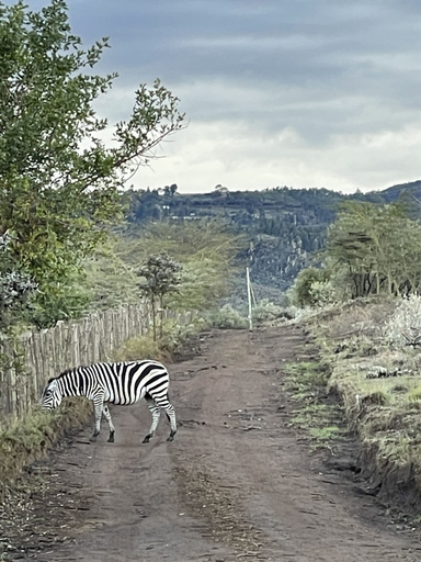 Others 3, Buffalo's Rest, Gilgil