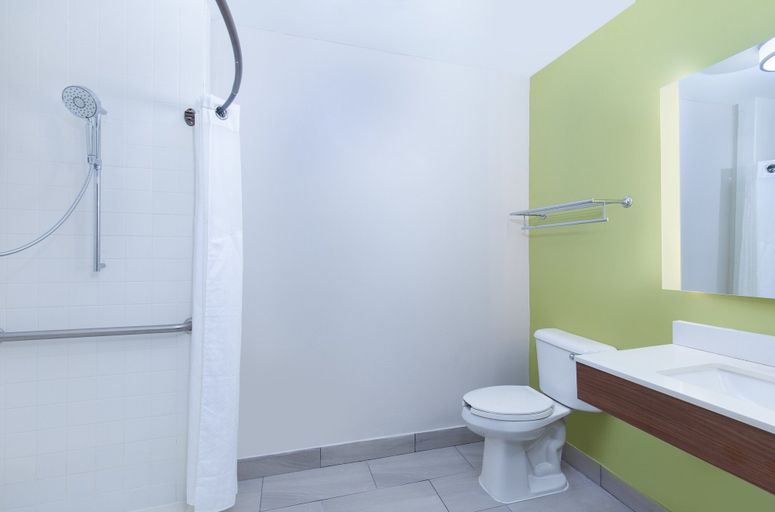 Bathroom 3, Holiday Inn Express Hotel & Suites Birmingham - Inverness by IHG, Shelby