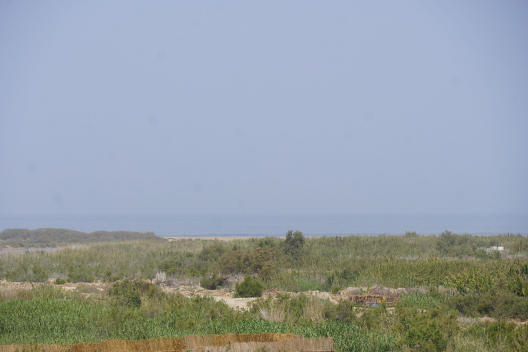 Others, Banana Surf House, Agadir-Ida ou Tanane