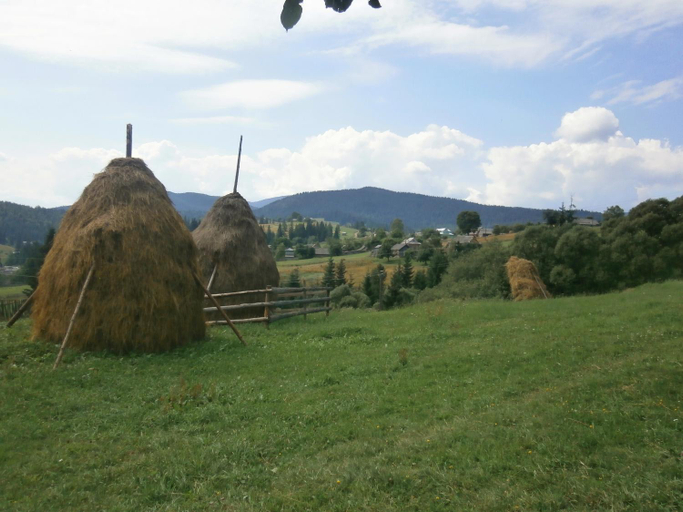 Others 2, Na gorbochku u Natali, Nadvirnians'kyi