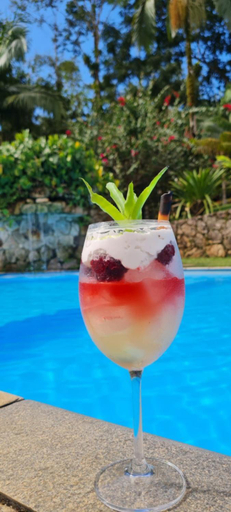 Food & Drinks 5, Pousada Bromelias, Parati