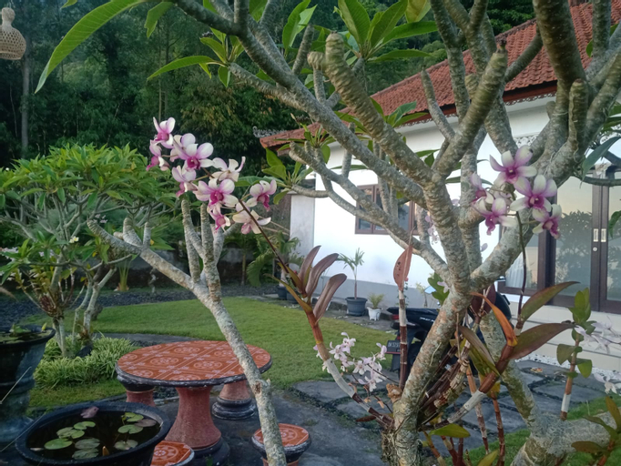 Exterior & Views 4, The Pohucu Hill, Bangli