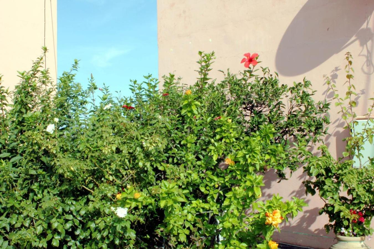 Others 4, Clios house with magnificent views of the sea, Ionian Islands