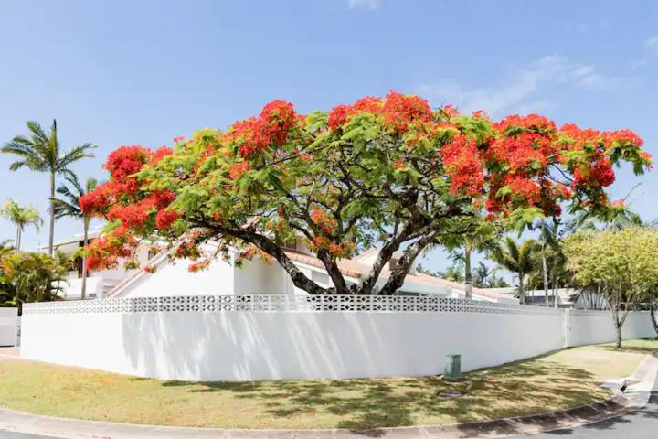 Poinciana House—Luxury Noosa Retreat close to Beach, Noosa - Noosa-Noosaville