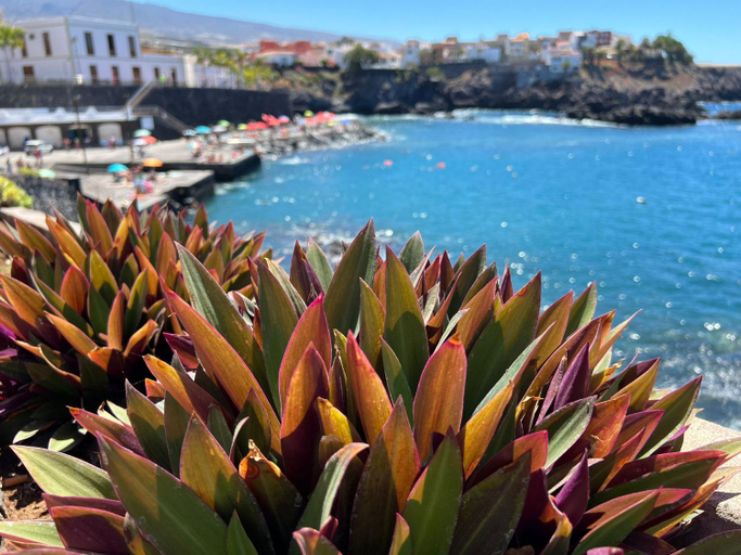 Others 5, Alquiler de Habitacion privada con bano compartido cerca al Mar!, Santa Cruz de Tenerife