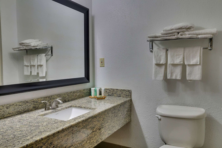 Bathroom, Country Inn & Suites by Radisson, Savannah Gateway, GA, Chatham