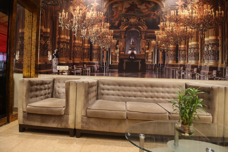 Public Area 2, HOTEL REDWINGS CASTLE, Raigarh