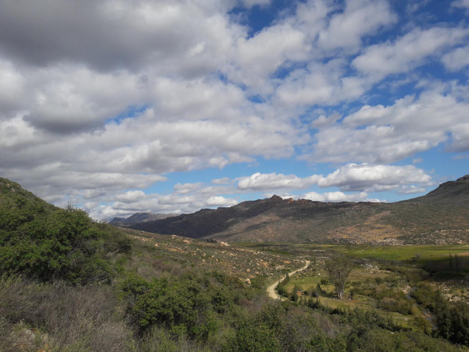 Surrounding environment 5, Boskloof Swemgat, West Coast
