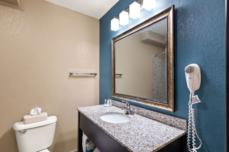 Bathroom 4, Comfort Inn & Suites Springfield I-55, Sangamon