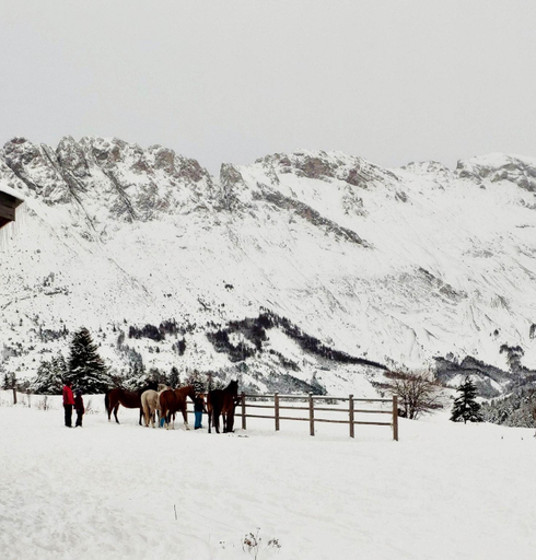Others 4, Superdevoluy545S (bois d'aurouze), Hautes-Alpes
