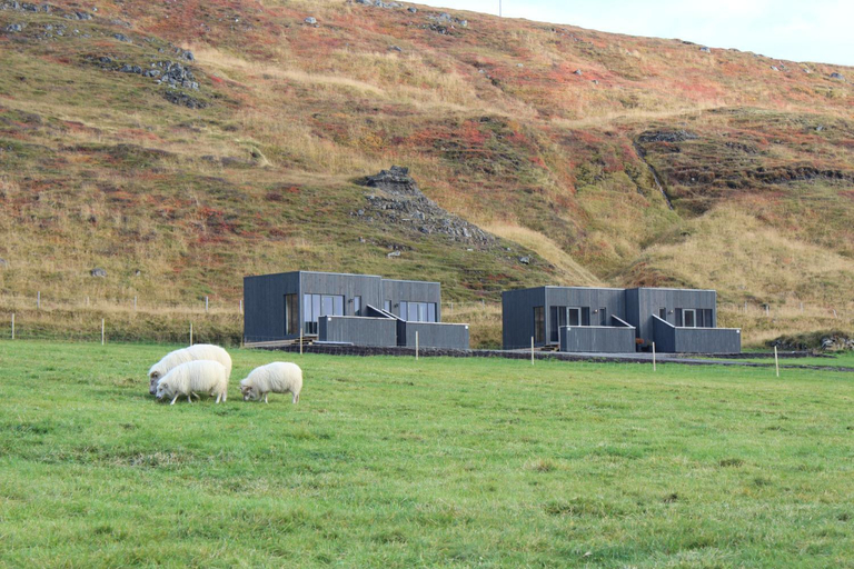 Others 5, Laxardalur Cabin, Reykdælahreppur