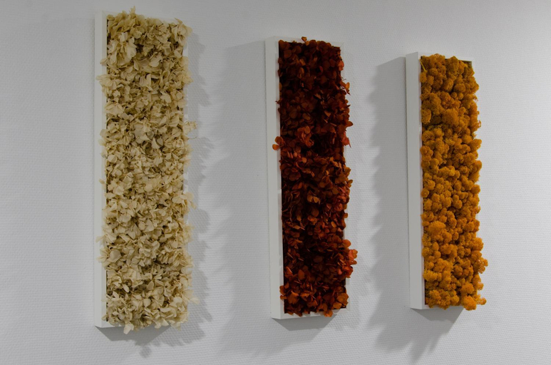 Food & Drinks, Residence Ambroise Pare, Hérault