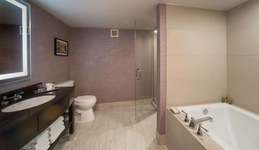 Bathroom 4, The Saratoga Hilton, Saratoga