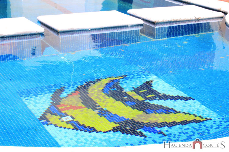 Sport & Beauty, Hotel Hacienda Cortes, Mérida