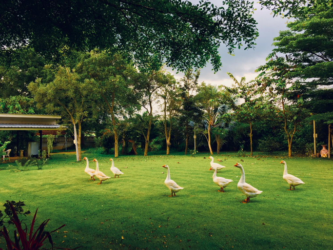 Others 3, Better Weather Homestay, Pak Chong