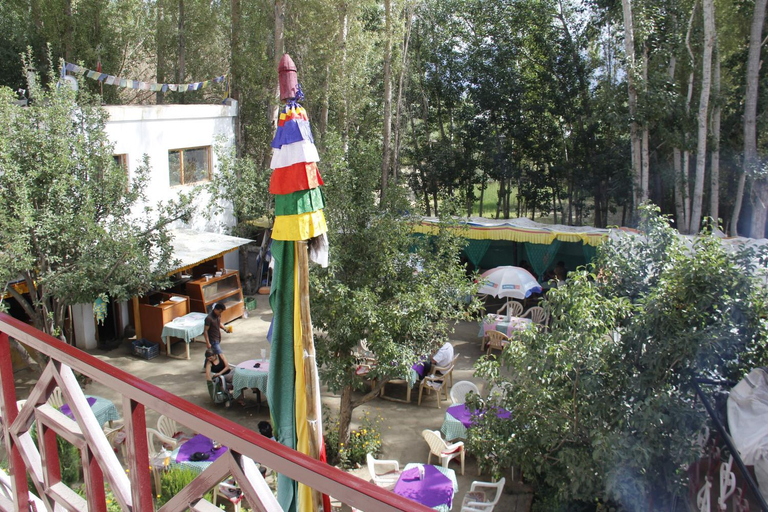 Food & Drinks 4, Mentokling Guest House and Garden Restaurant, Leh