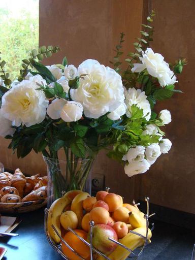 Food & Drinks 5, Tropic Hotel, Pyrénées-Orientales