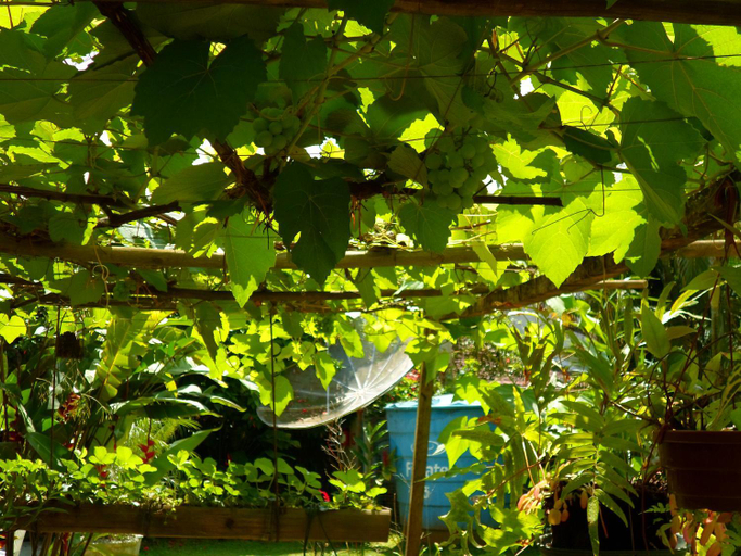 Others 5, Pousada Capim Melado, Ubatuba