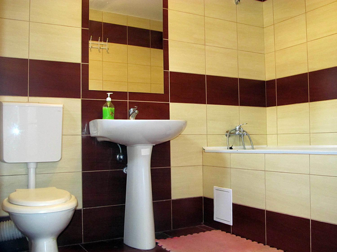 Bathroom 3, Casa Simion, Rosia