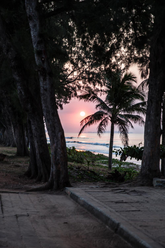 Scenery 15