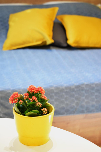 Food & Drinks, Sun apartment with free parking, Dubrovnik