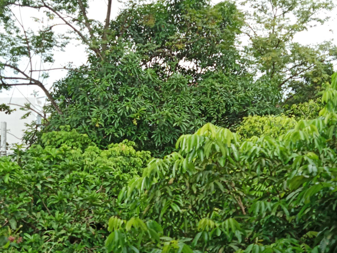 Others 2, Green Space Homestay, Hoa Lư