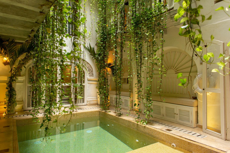 Sport & Beauty 2, Leones de Alba Hotel Boutique, Cartagena de Indias