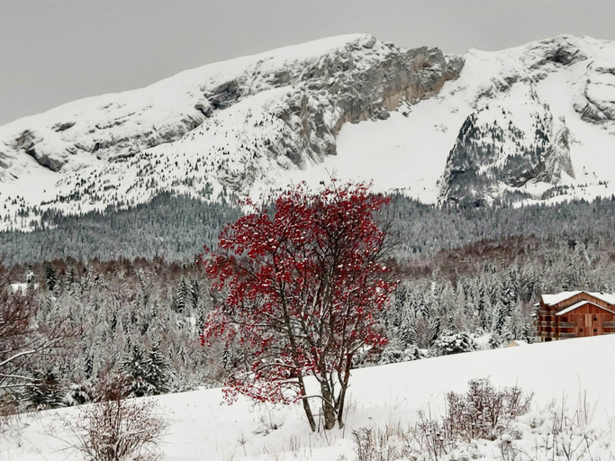 Others 5, Superdevoluy545S (bois d'aurouze), Hautes-Alpes