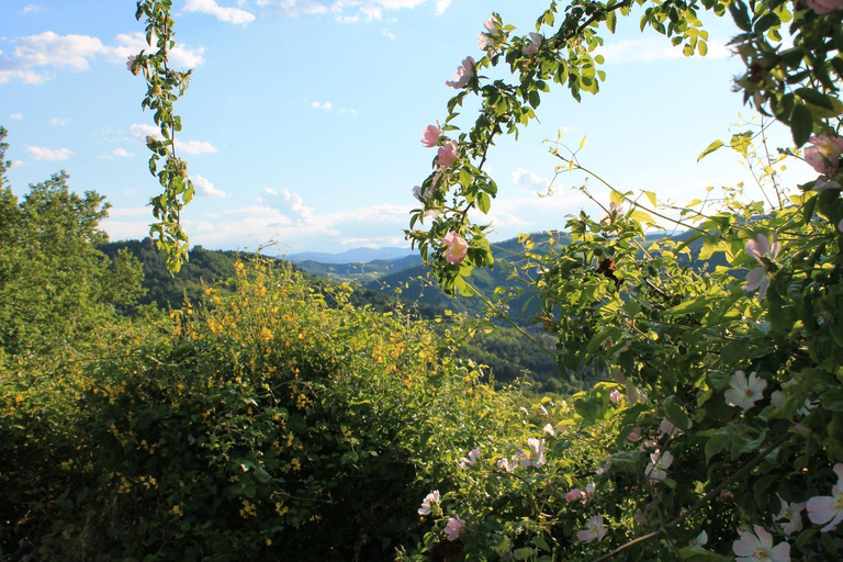 Others 4, Country House Il Biroccio, Pesaro E Urbino