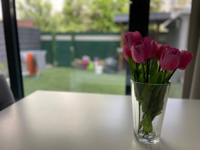 Food & Drinks, Beautiful 2-bed Apartment in Wien, Wien