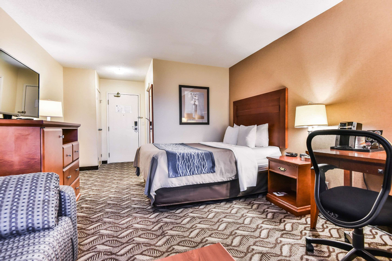 Bedroom 5