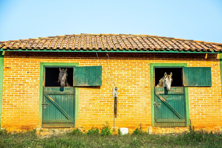 Exterior & Views 2, Hotel Fazenda Estancia Reviver, Araçoiaba da Serra