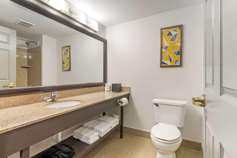 Bathroom 4, Comfort Inn Near Six Flags St. Louis, Franklin