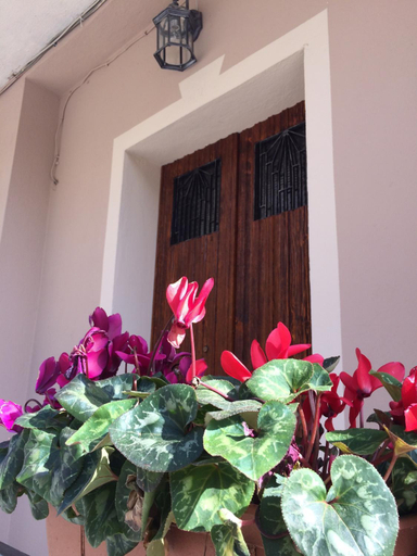 Exterior & Views 2, B&B Fontevecchia, Sassari