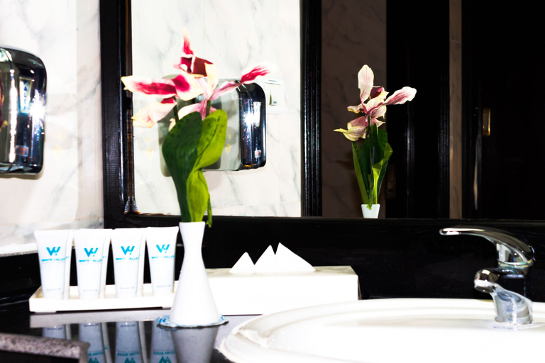 Bathroom 4, White Valley Palace, Safaja