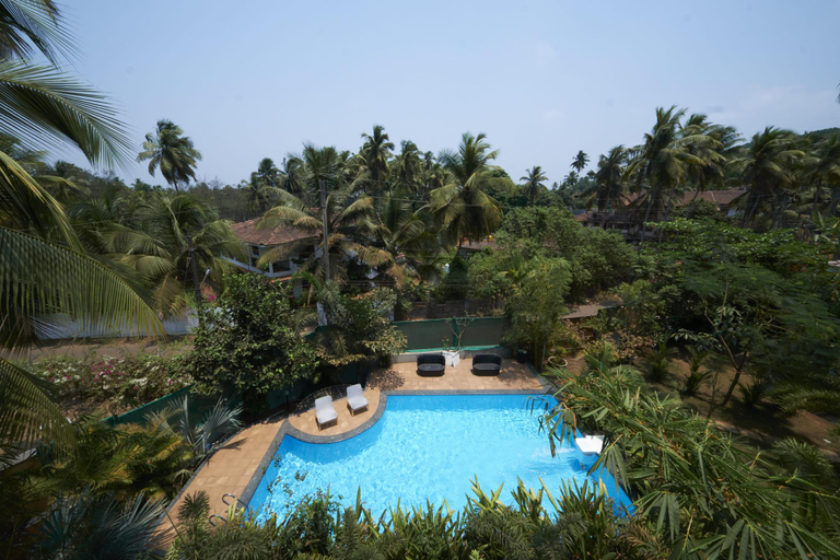 Others 3, FigHouse, North Goa