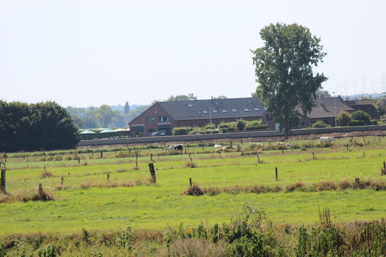 Others 4, B&B 't Goedhof, Limburg