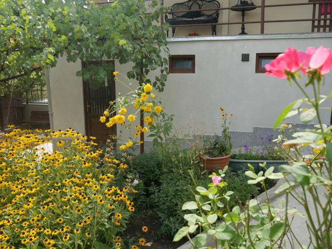 Others 2, Luxury Apartment at Pirosmani 22 in central Borjomi, Borjomi